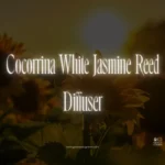 Cocorrina Reed Diffuser