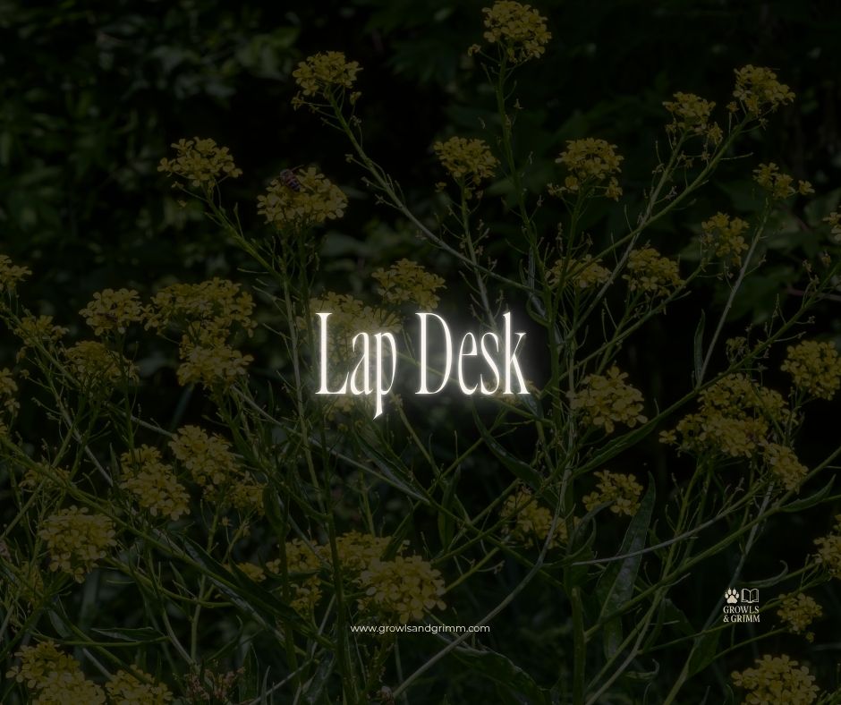 Lap Desk