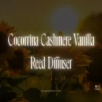 Cocorrina Reed Diffuser (Sandalwood Rose / Cherry Blossom / Gardenia)
