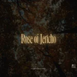Rose of Jericho (Tamed Wild)