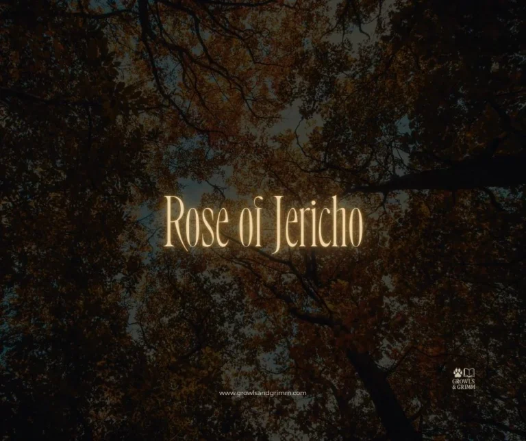 Rose of Jericho (Tamed Wild)