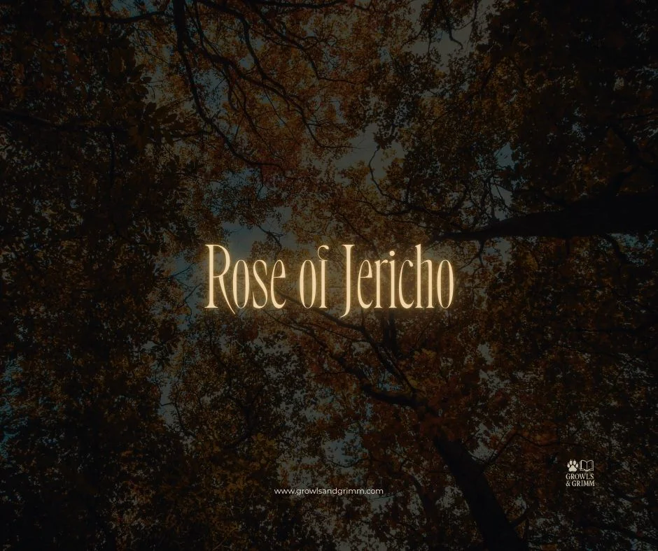 Rose of Jericho (Tamed Wild)