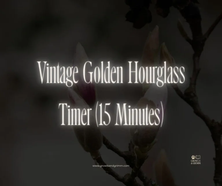 Vintage Golden Hourglass Timer (15 Minutes)