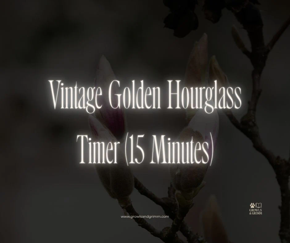 Vintage Golden Hourglass Timer (15 Minutes)