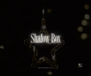 Shadow Box