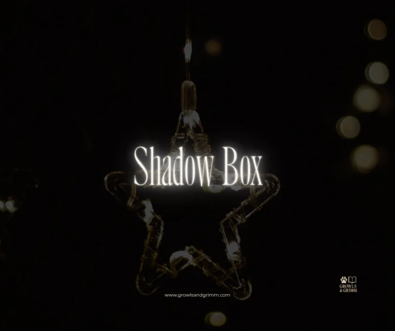 Shadow Box